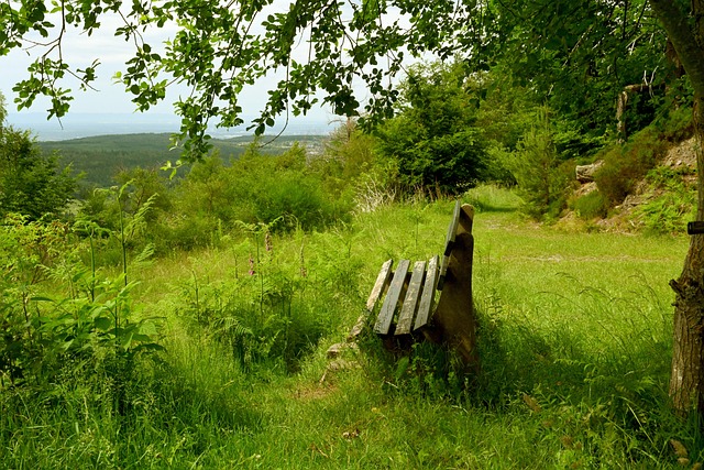 于根伟：下半年已经在推动明年引援；门票售罄体现我们的成功